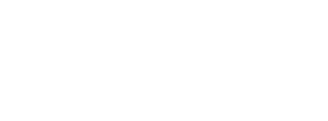 Bruiser Power
